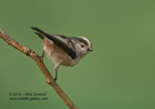 A different perspective of a LTT - #GB059